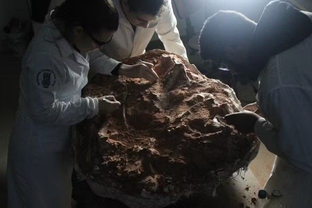 Fóssil de dinossauro de mais de 233 milhões de anos é achado no RS