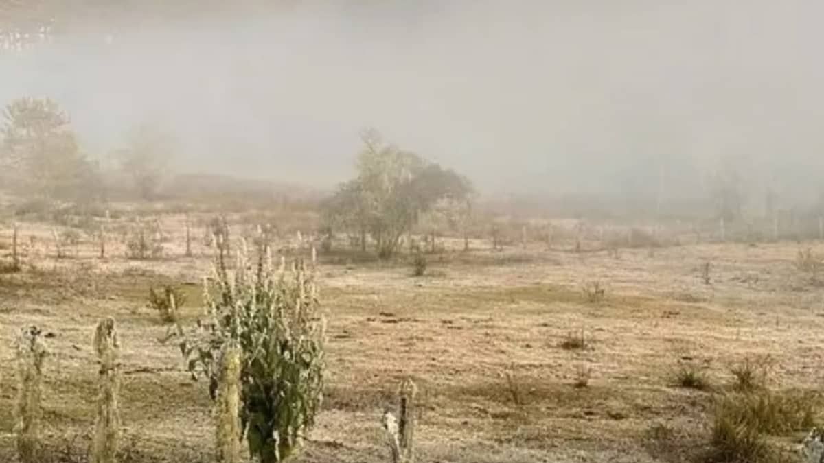 Monte Verde, no Sul de Minas, registra a terceira menor temperatura do Brasil