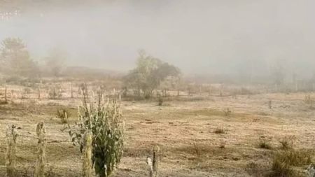 Distrito de Monte Verde é conhecido pelo frio intenso