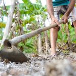 Desenrola Rural: 21 mil agricultores mineiros podem liquidar dívidas pelo programa