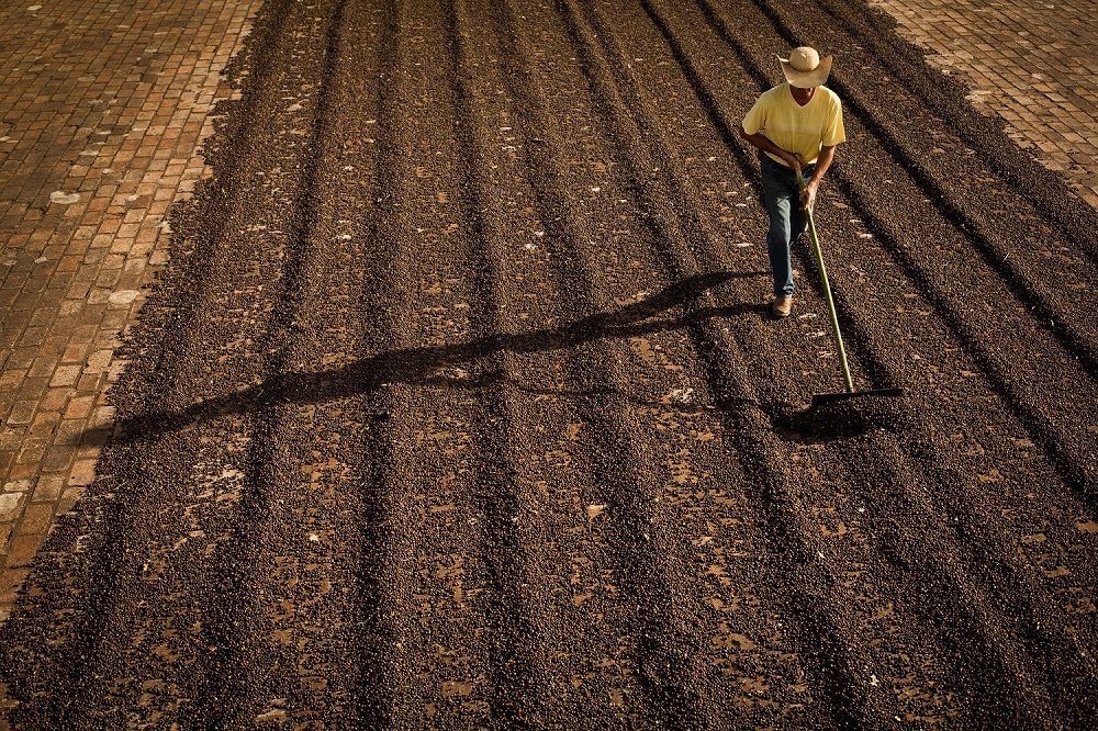 Projeto Campo Futuro inicia levantamento de custos de produção no país