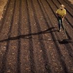 Projeto Campo Futuro inicia levantamento de custos de produção no país