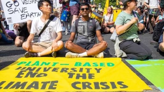 Divulgação do grupo ativista Animal Rebellion