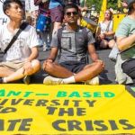 Universidade de Cambridge sem carne para os alunos 