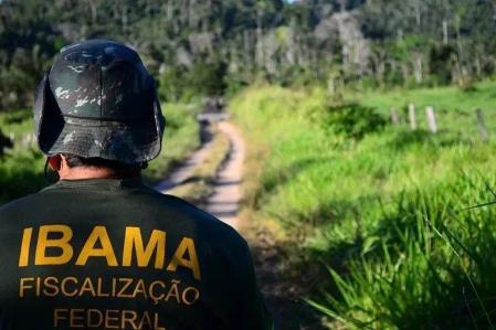 Ibama abre as inscrições de concurso público com salários de R$ 9,8 mil | CNN Brasil