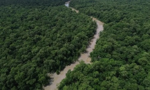 amazônia legal