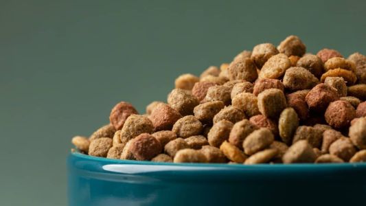 Doação de ração pode motivar isenção de parte do ICMS em Minas