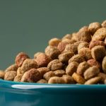 Deputado de Minas quer incentivo tributário a doadores de ração animal; entenda