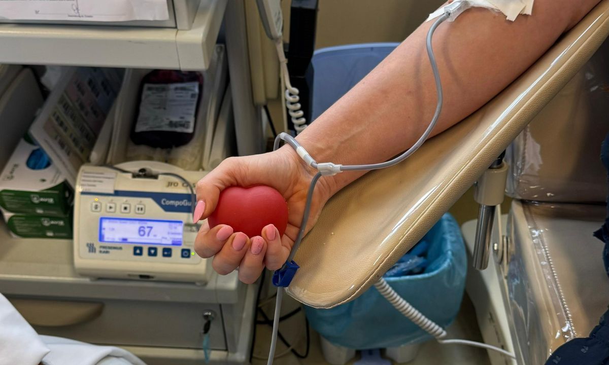 Projeto quer 'trocar' pagamento de multas de trânsito por doação de sangue e medula óssea
