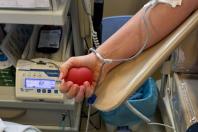 Novas regras para doação de sangue ampliam público de doadores no Brasil