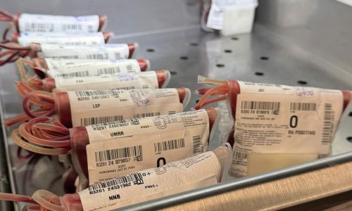 Doação de sangue Hemominas