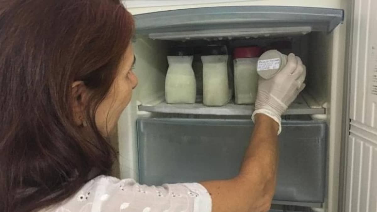 Leite materno: Prefeitura de BH disponibiliza serviço para a doação; saiba detalhes