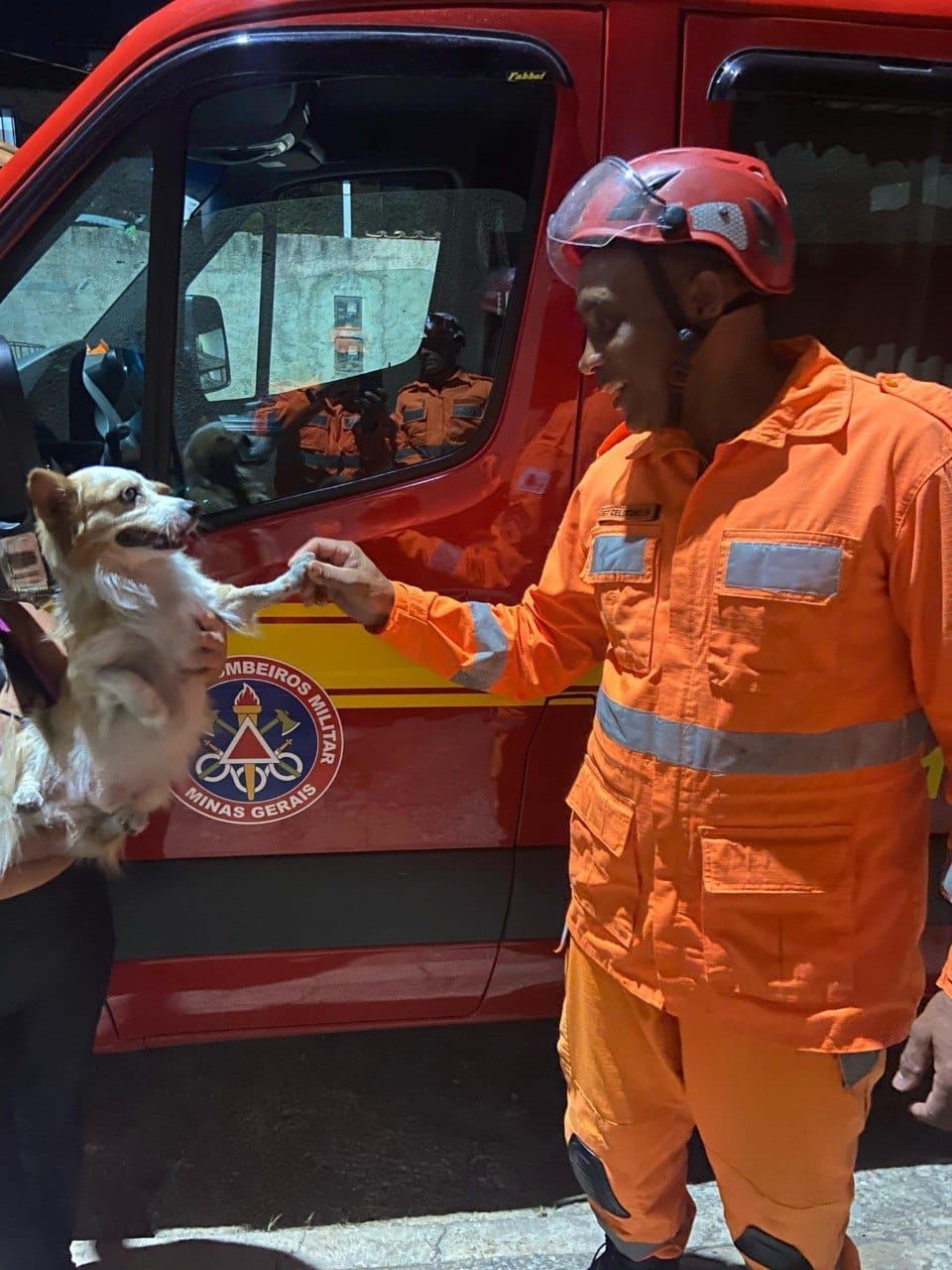 Cãozinho é resgatado de incêndio de casa por bombeiros em Sete Lagoas (MG)