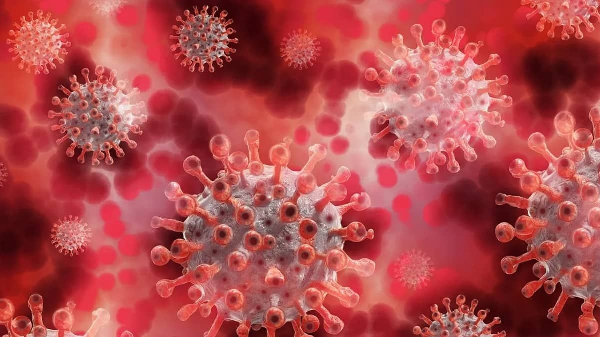 Dois novos estudos dão pistas sobre covid longa