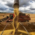 Agronegócio bate recorde de exportações em agosto: US$ 15,63 bilhões  