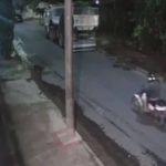 Dupla em moto arrasta e mata pitbull na região da Pampulha; imagens são impublicáveis 