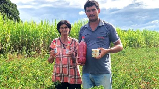 Dona Selmira, de 74 anos, faz questão de ajudar o filho Emerson na colheita das pimentas