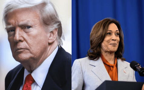Donald Trump (esquerda) e Kamala Harris (direita)