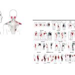 Fabiana de Lemos | O mapa da dor