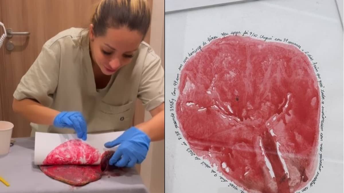 Viih Tube fez quadro com placenta da Lua; veja vídeo