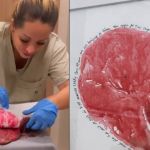 Viih Tube fez quadro com placenta da Lua; veja vídeo