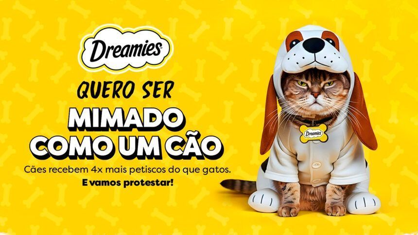 Gatos protestam por petiscos na campanha ‘Quero ser mimado como um cachorro’; entenda