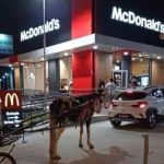 Homem vai a drive-thru de fast food de charrete guiada por cavalo