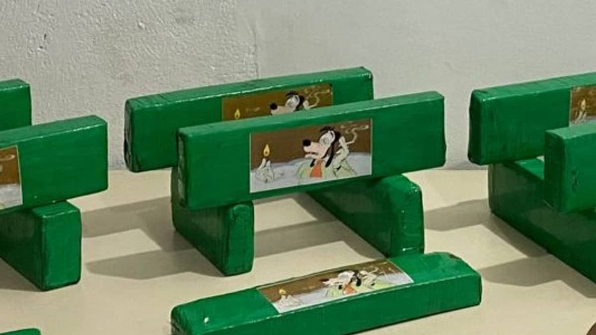 PM encontra 12 barras de ‘maconha do Pateta’ com suspeito de furtar fraldas na Grande BH