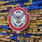 Vídeo: Polícia Civil apreende duas toneladas de maconha que abasteceriam Carnaval na Grande BH