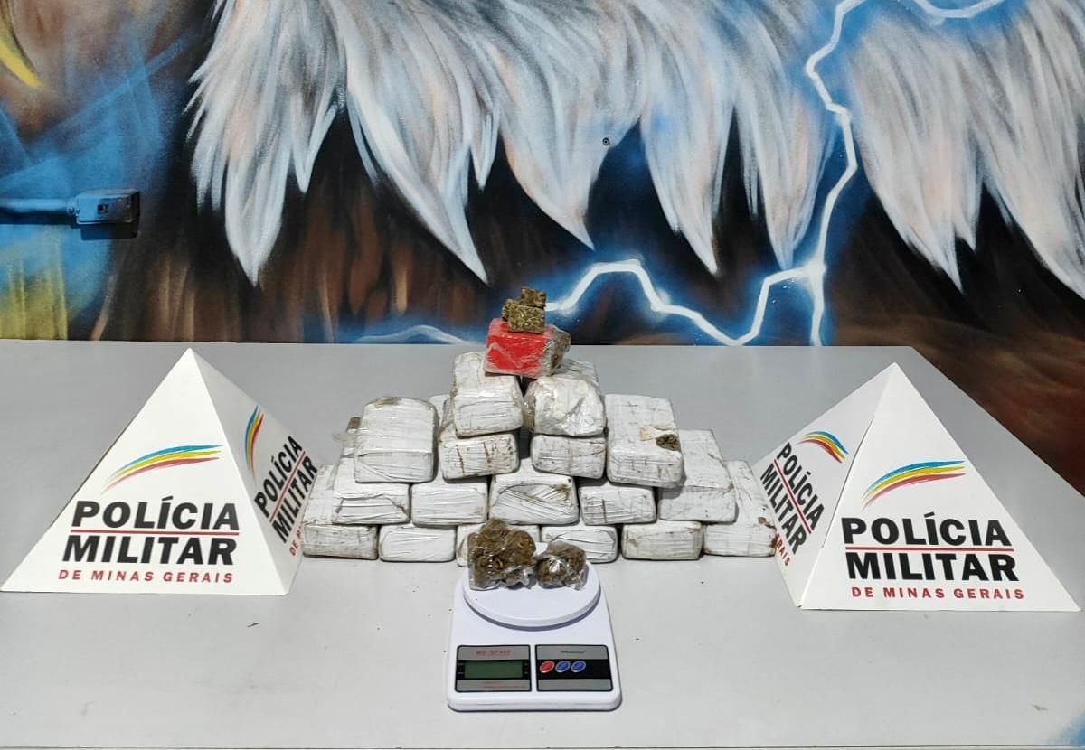 Operação localiza 20 quilos de maconha em área de mata em Santana do Paraíso