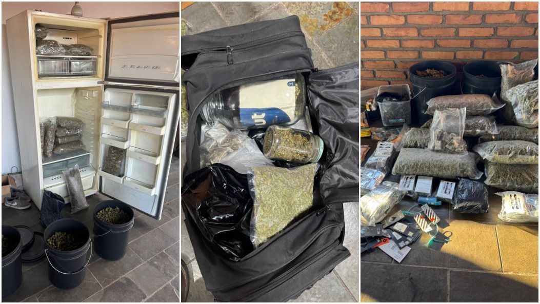 Quadrilha que vendia ecstasy, haxixe e 'supermaconha' é alvo da polícia na Grande BH