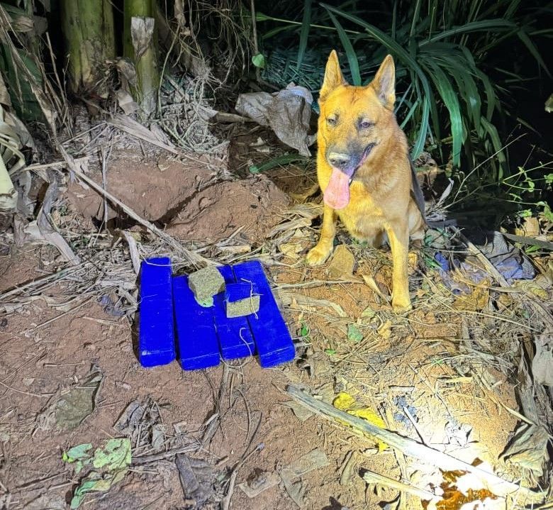 Barras de maconha são localizadas enterradas na Rua Pouso Alegre, no centro de Ipatinga