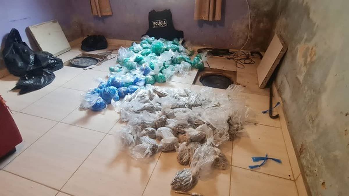 Polícia apreende 12 mil porções de K9 enterradas em casa de SP 