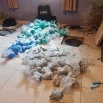 Polícia apreende 12 mil porções de K9 enterradas em casa de SP 
