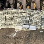 Polícia Federal prende homem que transportava quase 300 quilos de cocaína em São Paulo