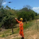 Homem que faz uso de remédio controlado desaparece em mata no interior de Minas