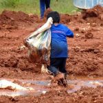 Uma a cada dez crianças trabalha no mundo, diz relatório da Unicef; número cresceu pela primeira vez após 20 anos