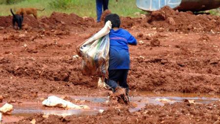 Quase metade das crianças possuem trabalhos considerados perigosos