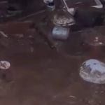 Vídeo: reservatório de água se rompe e deixa rastro de destruição e lama em Florianópolis  