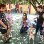 Duda Salabert quer doar imóveis abandonados em BH para abrigos que cuidam de animais