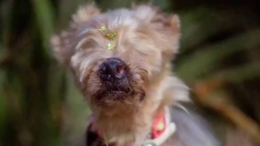 Dudinha, atualmente, tem uma vida normal e feliz