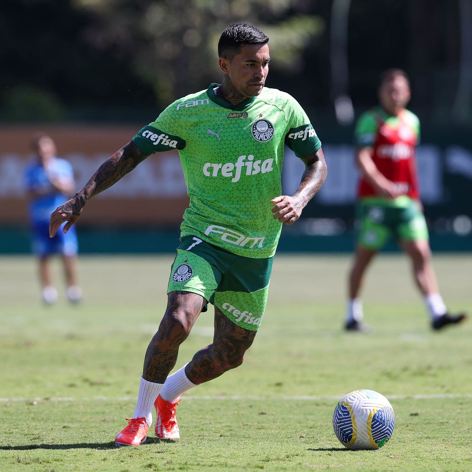 Dudu aposta em 'histórico de fim de ano' no Palmeiras para ocupar vaga de Estêvão