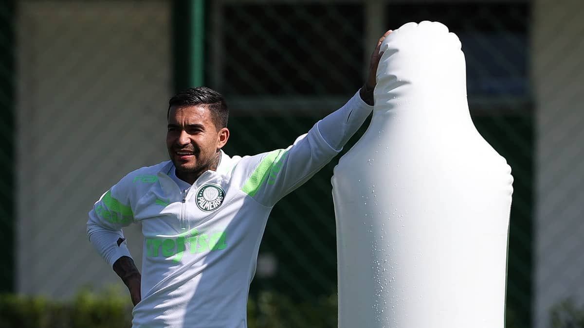 Dudu desabafa nas redes sociais após ano de lesões no Palmeiras