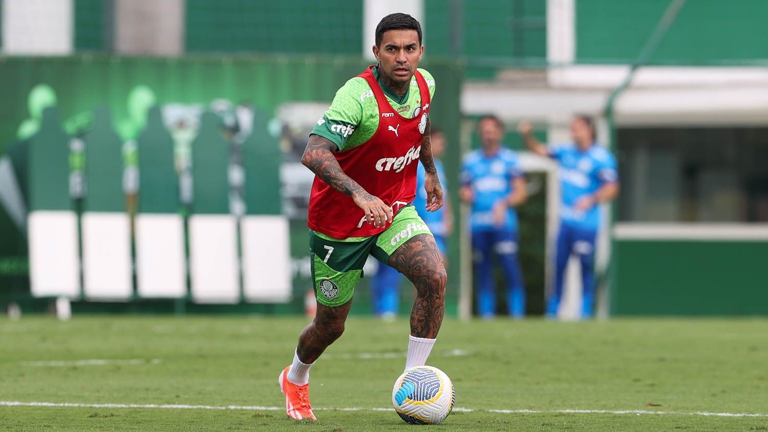 Palmeiras inicia preparação para jogo contra Internacional com atacante Dudu