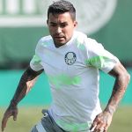 Dudu vai enfrentar o Atlético pela Libertadores? Veja o que diz técnico do Palmeiras
