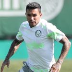 Dudu projeta jogo contra São Paulo e diz que Data Fifa atrapalhou Palmeiras
