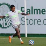 Palmeiras segue preparação e Abel tem dúvida médica entre os meias