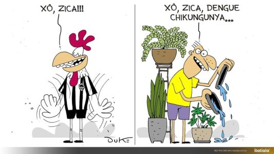 Galo espantou a zica em campo; população precisa espantar o zika vírus!