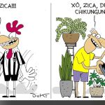 Charge do Duke: Galo espanta a zica