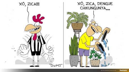 Galo espantou a zica em campo; população precisa espantar o zika vírus!